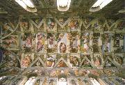Michelangelo Buonarroti the sistine chapel ceiling oil painting artist